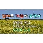 엄마도 가슴에 묻혔네 / 우정옥 - genie