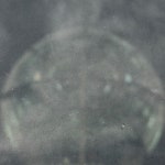 siroi ie / Drop - genie