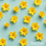시냇가의 오후 이야기 / Bread Music - genie