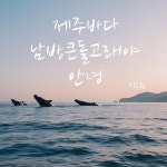 제주바다 남방큰돌고래야 안녕 / 시그림 - genie