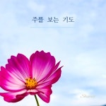 주를 보는 기도 / 샤이닝 - genie