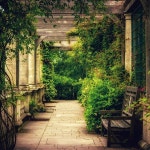 정원 / 피아노 스케치 - genie