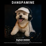 댕파민 (Dangpamine) / 왕말티삐뽀 - genie