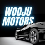 중고차는 우주모터스 / Wooju - genie