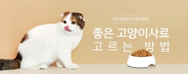 G9 – 쇼핑에 상식을 채우다 임집사 고양이상설관 기획전 - G9모바일