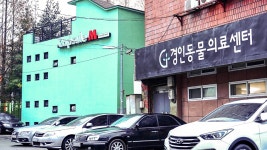 영등포 캡슐 호텔&게스트하우스 마중, 영등포·신림·김포공항, 서울·경인 - 여기어때 특가