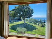 제주 돌담에 꽃 머무는집, 대정·안덕, 제주 (서귀포·성산) - 여기어때 특가