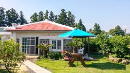 서귀포 쉴띠 게스트하우스, 대정·안덕, 제주 (서귀포·성산) - 여기어때 특가