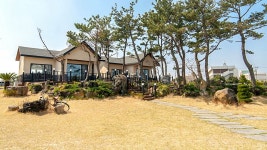 서귀포 온더스톤 펜션&게스트하우스, 성산·우도, 제주 (서귀포·성산) - 여기어때 특가