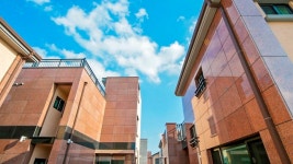 제주 시아도아네, 구좌·월정, 제주 (제주시·함덕) - 여기어때 특가