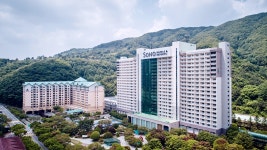 소노벨 비발디파크 A, 양양·홍천·인제·철원, 강원 - 여기어때 특가