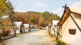 부여 글램핑판, 충청 - 여기어때 특가