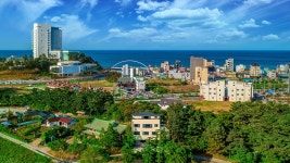 강릉 경포코지 애견동반펜션, 강릉 (경포.안목해변), 강원 - 여기어때 특가