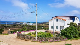 제주 토끼섬 힐링하우스, 함덕·월정·구좌·하도, 제주 - 여기어때 특가
