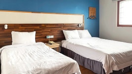 풍기관광호텔, 포항·청송·영덕·울진, 경상 - 여기어때 특가