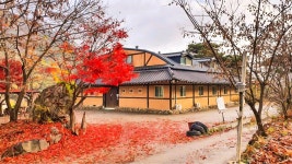 워크샾 단체 온가족이 머물기에 적합한 숙소 | 철수야학교가자, 서울·경인 - 여기어때 특가