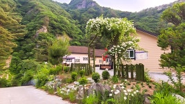 정선 덕산기의 아침펜션, 정선·영월, 강원 - 여기어때 특가