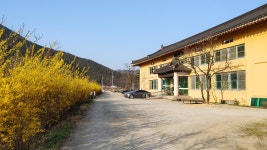보은 정이품송캠핑장펜션, 충청 - 여기어때 특가