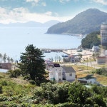 거제 모래숲펜션, 거제 남부 (바람의언덕), 경남 - 여기어때 특가