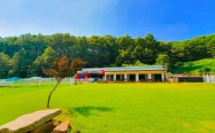 안동 도그락애견펜션, 문경·상주·안동·영주, 경북 - 여기어때 특가