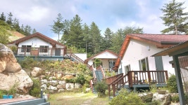 고성 산들산들 애견동반펜션, 속초·고성, 강원 - 여기어때 특가