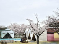 영천솔롱고글램핑, 경상/부산 - 여기어때 특가