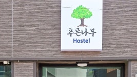 일상에서 벗어나 충분한 쉼을 즐길수 있는 곳 | 목포 푸른나무, 전라 - 여기어때 특가