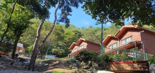 청도 생태마을 펜션, 청도·성주·경산, 경북 - 여기어때 특가