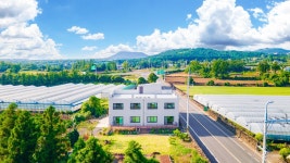 제주 춘자네 펜션, 중문·산방산·모슬포, 제주 - 여기어때 특가