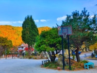 무주 여행숲 백암산장펜션, 전주·무주, 전라 - 여기어때 특가