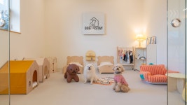 경주 독채 애견 스테이, 경주 (감포.불국사), 경북 - 여기어때 특가