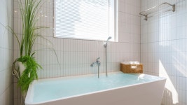 강릉 스테이서정 펜션, 강릉 (주문진.사천), 강원 - 여기어때 특가