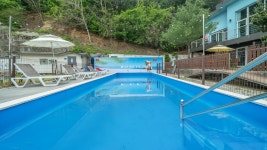 횡성 위드펫빌리지 애견 동반 펜션, 평창·횡성·원주, 강원 - 여기어때 특가