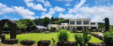 제주 가시리 유채꽃길, 서귀포·성산·표선, 제주 - 여기어때 특가