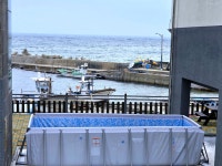 포항 블루코랄펜션, 포항, 경북 - 여기어때 특가