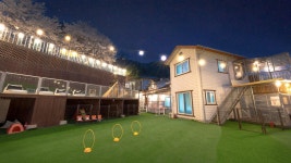 가평 제이몽 애견 캠핑존 펜션, 청평·설악·쁘띠프랑스, 가평 - 여기어때 특가