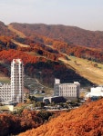 휘닉스 호텔 평창, 평창·정선·횡성, 강원권 - 여기어때 특가