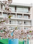★당일특가★ 스플라스 리솜(덕산), 천안·아산·예산·당진, 충청 - 여기어때 특가