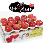[아침햇살농장] 청송 얼음골 사과 5kg(15~17과)매일매일 신선한 과일 - GS SHOP [GS SHOP] [아침햇살농장] 청송 얼음골 사과 5kg(15~17과)... 