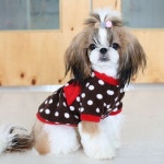 [퍼피짱] 베이비 도트 - GS SHOP [GS SHOP] [퍼피짱] 베이비 도트