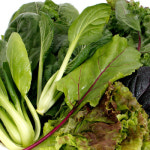 [충북충주] 산지직송 GAP인증 유기농 쌈채소 600g - GS SHOP [GS SHOP] [충북충주] 산지직송 GAP인증 유기농 쌈채소 600g