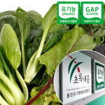[충북충주] 산지직송 GAP인증 유기농 쌈채소 1kg - GS SHOP [GS SHOP] [충북충주] 산지직송 GAP인증 유기농 쌈채소 1kg