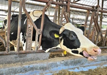 우리 아파트 어린이 놀이터는 안전한가?