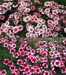  팬 타임즈 < Fan Times < FAN < 한화이글스 