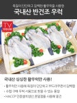 국내산 반건조우럭 (230g이상) x 12미 | 홈쇼핑모아 국내산 반건조우럭 (230g이상) x 12미 - 홈쇼핑모아~가장 정확한 방송 편성표