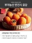 부자 반건시곶감 1+1 (40~50g X 30과, 총60과, 총중량 2.4Kg이상) | 홈쇼핑모아 부자 반건시곶감 1+1 (40~50g X 30과, 총60과, 총중량 2.... 