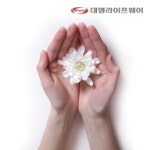 [상조] 대명라이프웨이 The행복한플랜(1708) | 홈쇼핑모아 [상조] 대명라이프웨이 The행복한플랜(1708) - 홈쇼핑모아~가장 정확한 방송 편성표