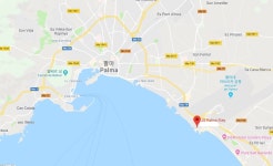 JS 팔마 스테이 검색결과 JS 팔마 스테이