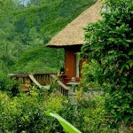 바구스 자티 헬스 & 웰빙 리트리트 검색결과 바구스 자티 헬스 & 웰빙 리트리트