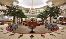 아르야두타 마나도 검색결과 아르야두타 마나도